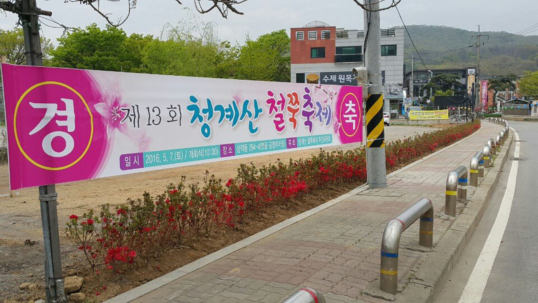 청계산 자락서 ‘철쭉축제’ 성남 시화 알려.....
