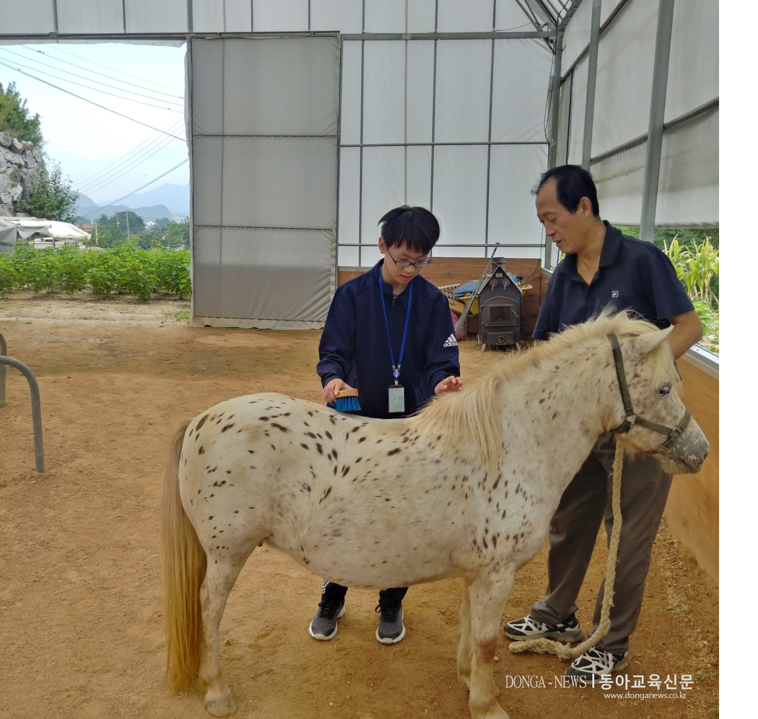  충주혜성학교, 말과 교감하며 진로체험해요.!